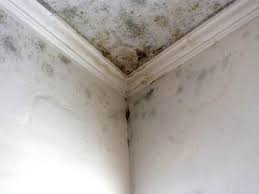 Mold Odor Removal Services in Hartford, AL