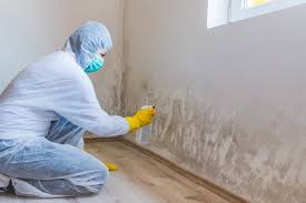 Best Commercial Mold Inspection  in Hartford, AL