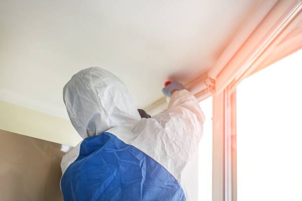 Best Commercial Mold Inspection  in Hartford, AL