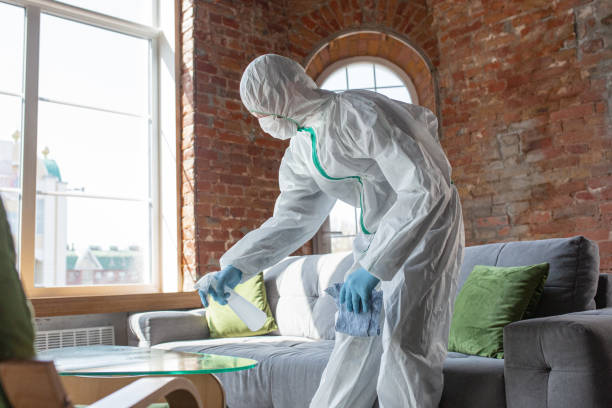 Best Forensic Mold Investigation  in Hartford, AL