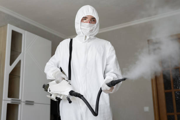 Best Emergency Mold Remediation  in Hartford, AL